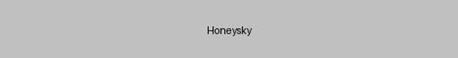 Banner do servidor Minecraft Honeysky