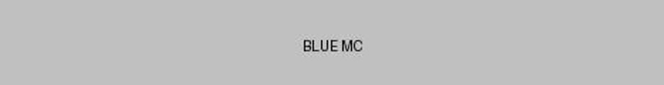 Banner do servidor Minecraft BLUE MC