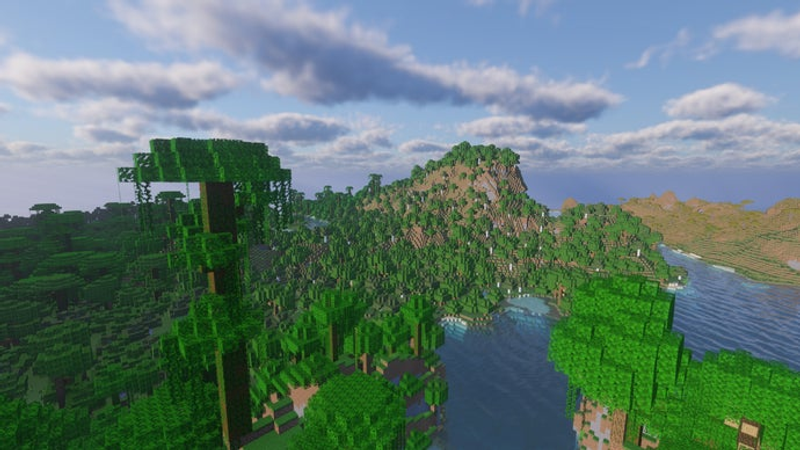 Uma selva ao lado de um rio no servidor Minecraft.