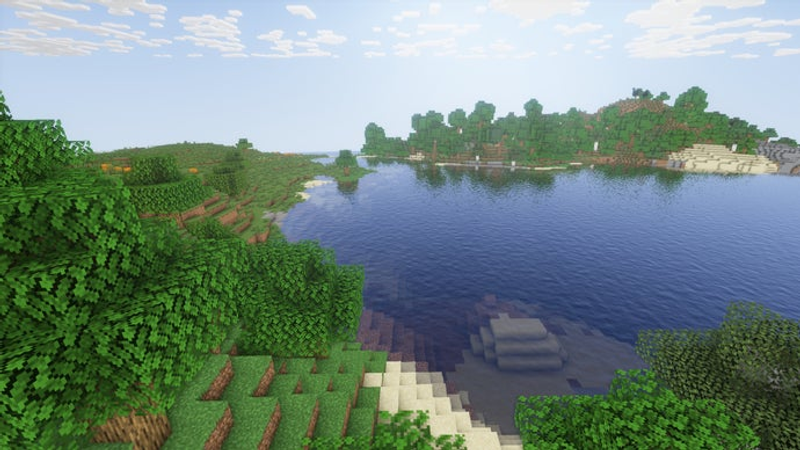 Algumas árvores em uma costa de planícies no servidor Minecraft.