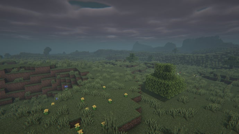 Um bioma de planícies nebuloso no servidor Minecraft.