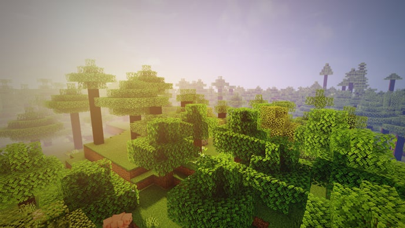 Uma captura de tela de uma floresta no servidor Minecraft, tirada acima das copas das árvores.