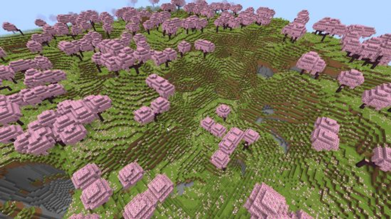 A melhor seed de Minecraft Trilhas e Contos: Um grande bioma de cerejeira cheio de árvores de sakura rosa.